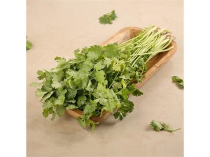Coriander Bunch (Dhaniya Patta), 100 g