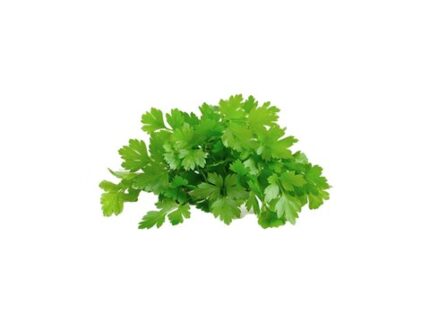 Coriander Bunch (Kothambari Soppu), 200 g