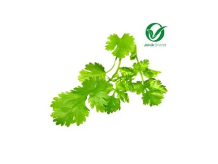 Coriander Organic, 100 g