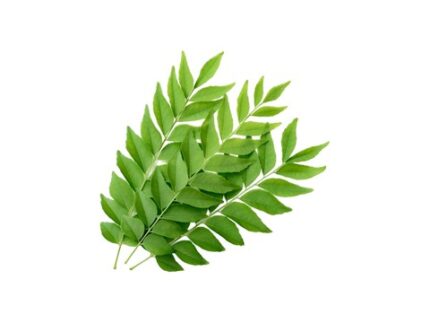 Curry Leaves (Kadi Patta), 100 g