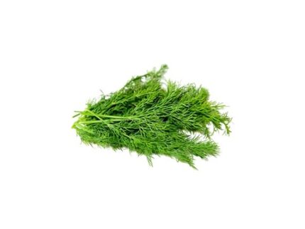 Dill Leaves (Shepu) (Soya), 100 g