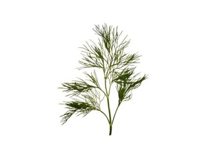 Dill Leaves (Soya), 200 g