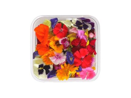 Edible Flower, 20 g