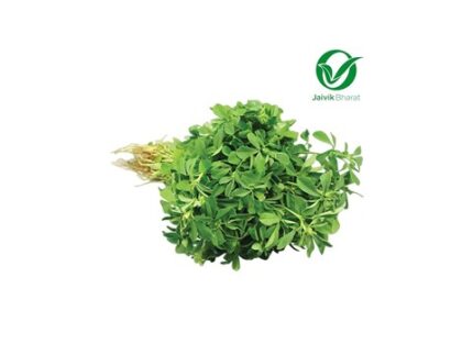 Fenugreek - Organically Grown, 250 g
