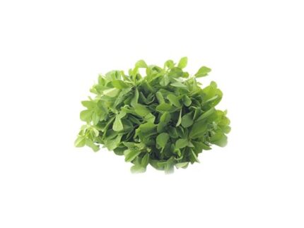 Fenugreek (Methi), 250 g