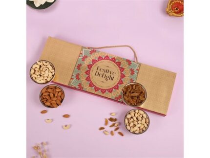 Festive Delight (Cashew + Raisins + Almond + Salted Pistachio) Dry Fruits Gift Pack, 400 g