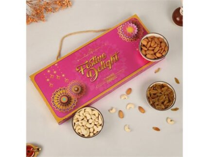 Festive Delight (Cashew + Raisins + Almond) Dry Fruits Gift Pack, 300 g