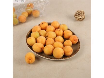 Fresh Apricot - Packet (Khumani), 500 g