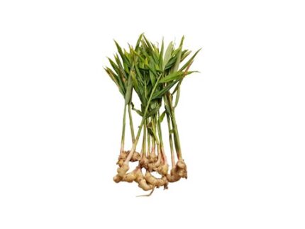 Ginger with Leaves, 200 g