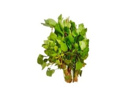 Gongura Leaves, 250 g