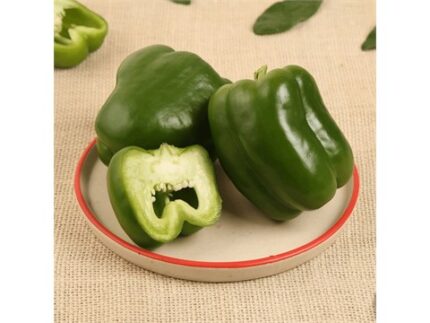 Green Capsicum - Organically Grown (Hasiru kyāpsikaṁ), 1 unit