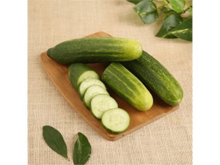Green Cucumber - Organically Grown (Hasiru Sautekayi), 500 g