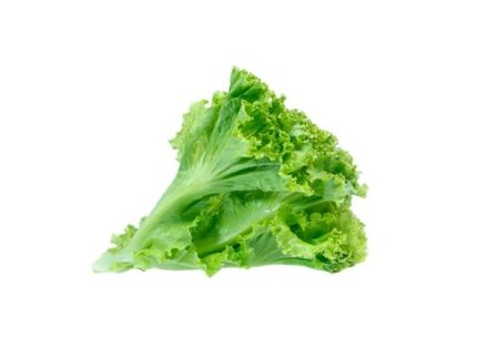 Green Lettuce, 250 g