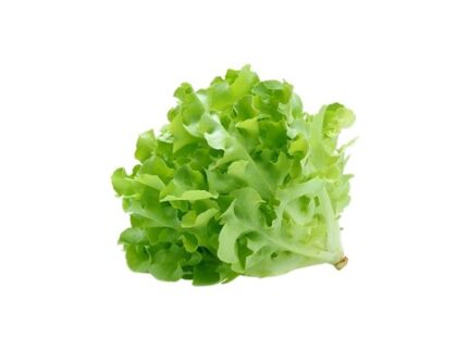Green Oak Lettuce, 250 g