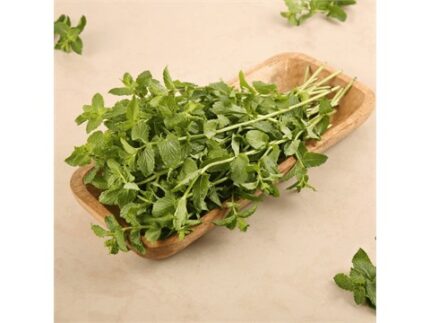 Mint Leaves (Pudina), 100 g