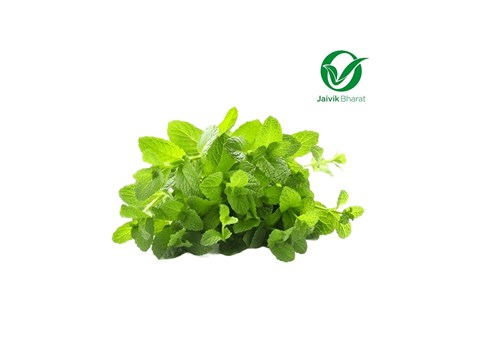 4036_2071_thumb.jpg Mint Leaves (Pudina) - Organically Grown, 100 g - Image 1