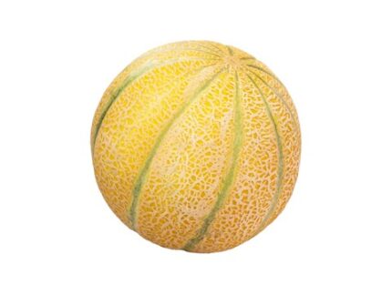 Muskmelon - Organically Grown, 1 piece (400 - 600) g