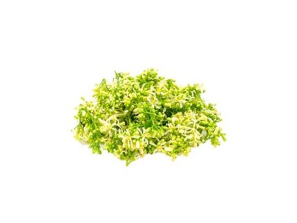 Neem Flower, 25 g