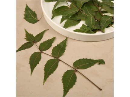 Neem Leaves, 50 g