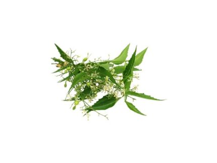 Neem Leaves (with Flowers), 2 packs