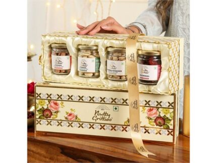 Nutty Gritties Assorted Dry Fruits Gift Pack (Variety of 4), 400 g (4 x 100 g)