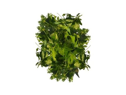 Organic Balloon Vine, 200 g