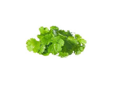Organic Coriander, 250 g