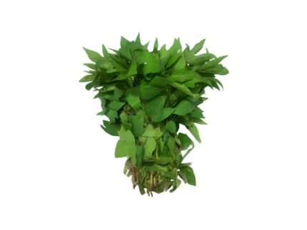 Organic Gongura, 250 g