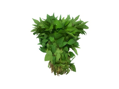4539_2167_thumb.jpg Organic Gongura, 250 g - Image 1