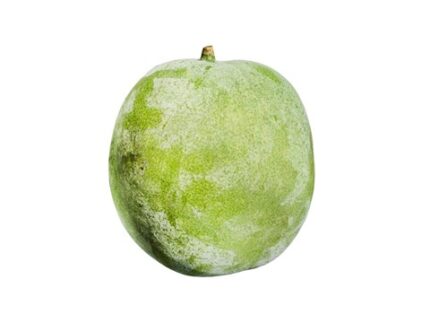 Ash Gourd (Boodu Kumbalakai), (2.5 - 4) kg