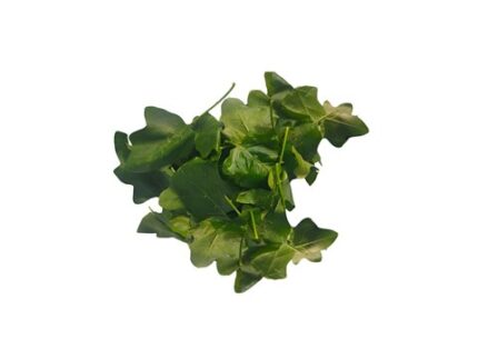 Organic Thoothuvalai, 250 g