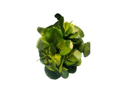 Organic Vallarai, 250 g
