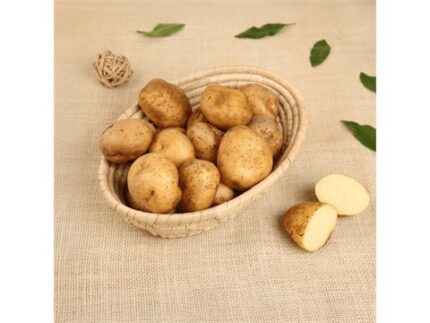 Organically Grown Potato, 1 kg