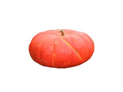 Organics Red Pumpkin by Zama Organics, 450 g - 500 g