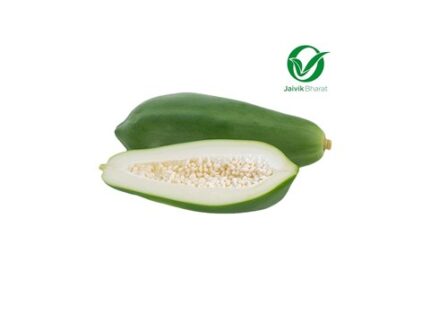 Raw Papaya Organically Grown, 1 piece (500 - 600) g