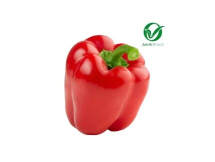 Red Bell Pepper Organically Grown, 1 piece (120 - 140) g