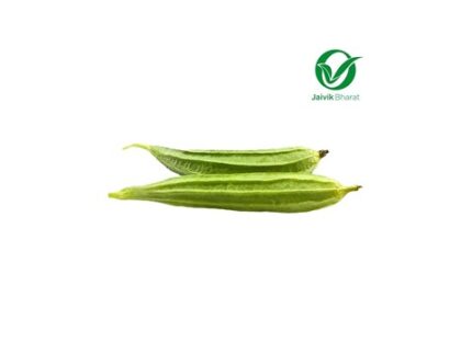 Ridge Gourd (Turai) - Organically Grown (Hīrekāyi), 250 g