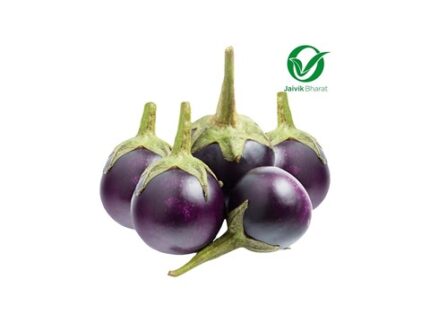 Small Black Brinjal - Organically Grown, 250 g
