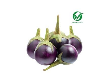 Small Black Brinjal - Organically Grown (Sanna Kappu Badane), 250 g