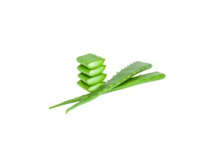 Aloe Vera (Ghrit kumari), (200 - 300) g