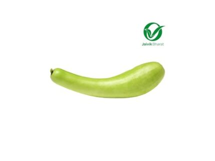 Bottle Gourd (Lauki) - Organically Grown (Bāṭal sōrekāyi), 1 piece (400 - 600) g